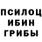 Псилоцибиновые грибы мицелий Lando Carlissian