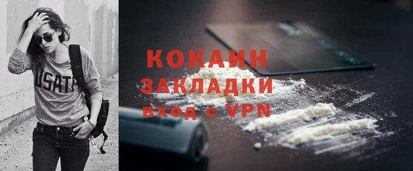 гашик Верея