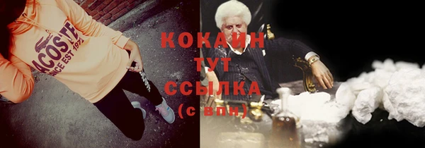 мдпв Верхний Тагил