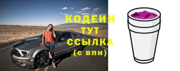 мдпв Верхний Тагил