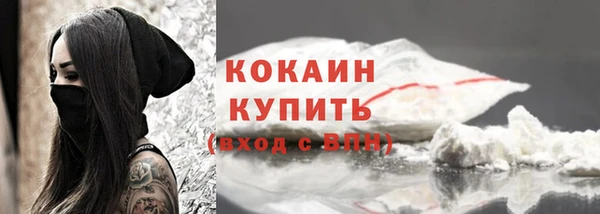 гашик Верея