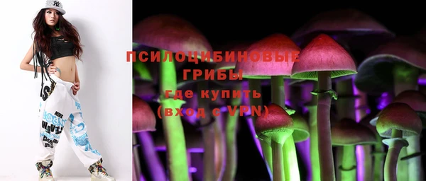 гашик Верея