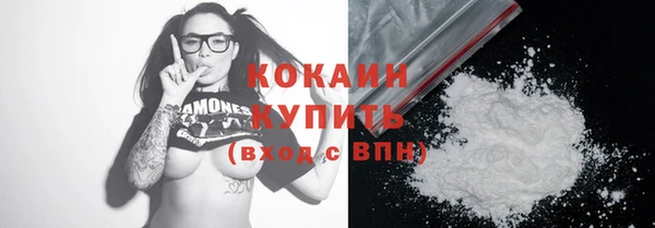 гашик Верея