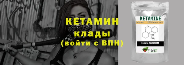 гашик Верея