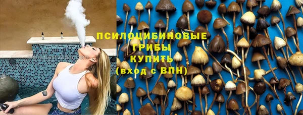 гашик Верея