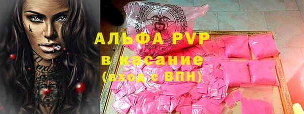 гашик Верея