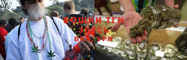 гашик Верея