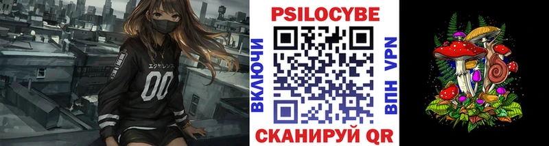 кракен онион  Стерлитамак  Галлюциногенные грибы Psilocybine cubensis 